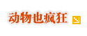 动物也疯狂