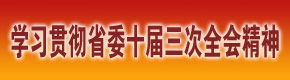 学习贯彻省委十届三次全会精神