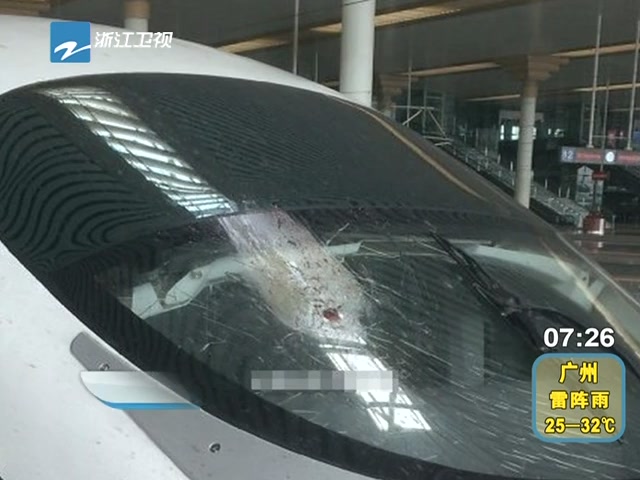 杭州至北京高铁遭飞鸟撞裂玻璃 全体乘客换车