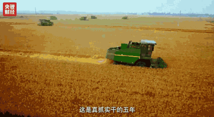 也是一个很有特色,是吧,别具一格的这样一个桥.