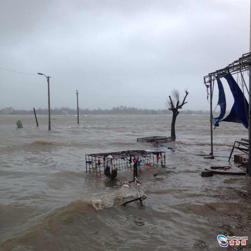 【台风海鸥】徐闻不少民房被海水浸泡