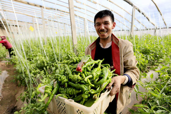 两会前民众期待梳理:让钱袋子鼓起来居首