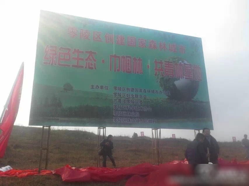 红地毯植树图片
