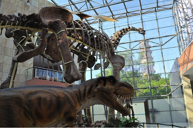 恐龙蛋化石现身广东河源 探秘恐龙之乡河源