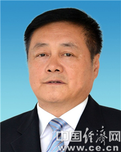 贺懋燮任安徽省芜湖市代市长图简历