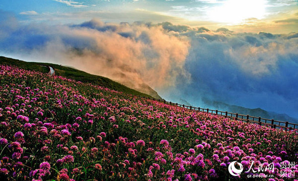 康养胜地·中国凉都：19度的夏天等你来