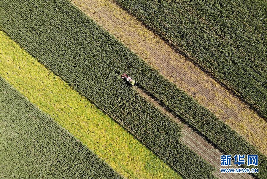 吉林落实习近平总书记全国两会重要讲话精神纪实