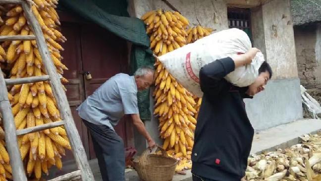习近平在甘肃代表团强调，这项工作越到最后时刻越要响鼓重锤