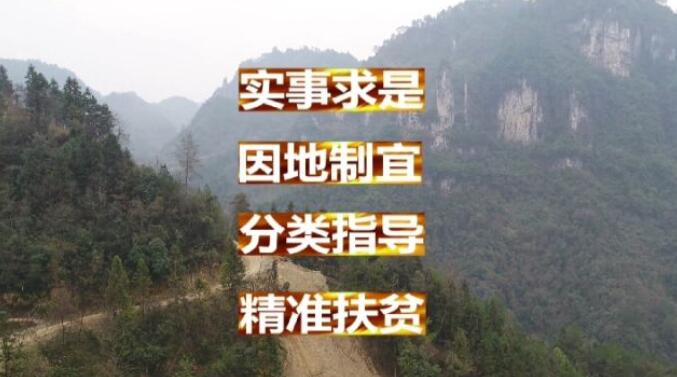 这些县，习近平来调研过