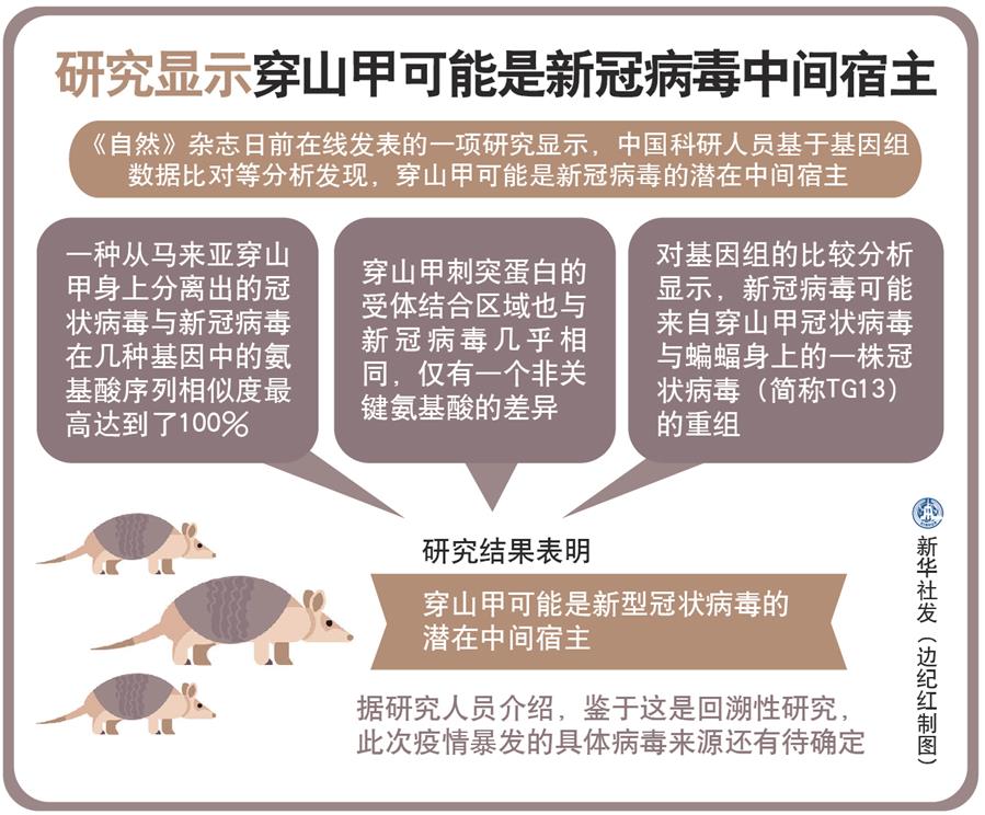 ï¼å¾è¡¨ï¼ï¼»å½é ç«æ ï¼½ç ç©¶æ¾ç¤ºç©¿å±±ç²å¯è½æ¯æ°å ç æ¯ä¸­é´å®¿ä¸»