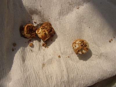 湖南宁乡发掘出西周古墓 出土青铜器等文物:南