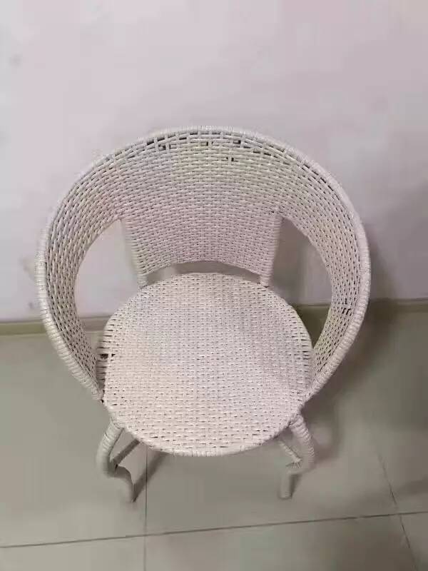 家里养鹦鹉是什么感受?网友:简直是拆迁届扛把