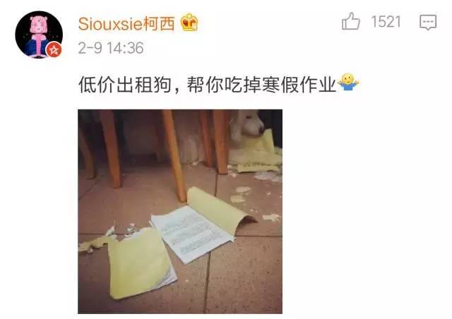 暑假作业在机场找回!妈妈很开心孩子很崩溃 还