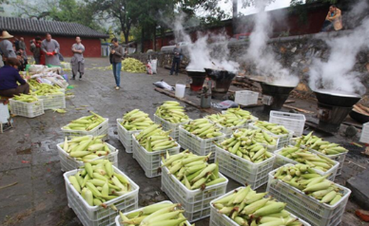  少林寺免费发玉米  游客寺内排百米长龙(多图)▏
