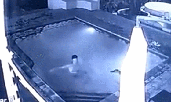 美女在酒店泳池游泳,竟发现池里有鳄鱼!