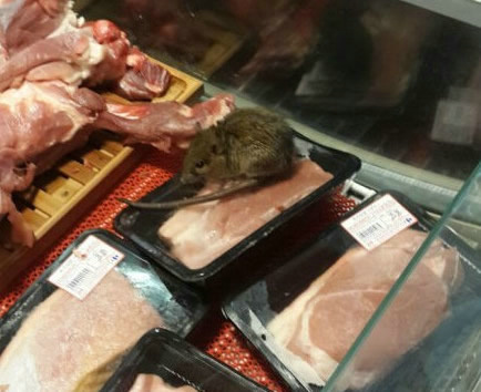 超市现老鼠在冷柜吃肉 全部肉品下架销毁