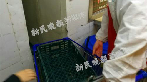 图说:市场监督工作人员发现老鼠处。