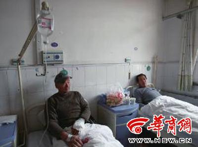 藏獒几十分钟连伤8人 村民合力将其打死(图)