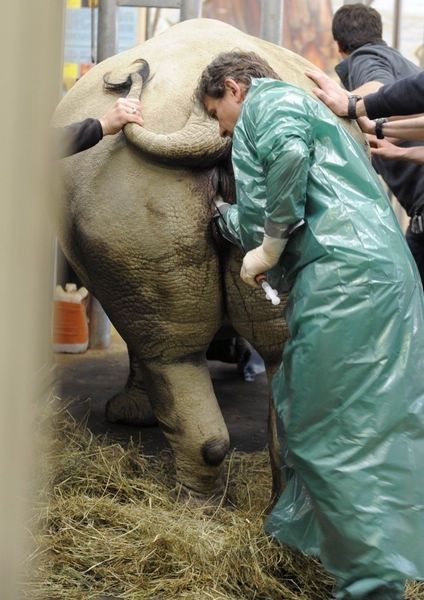 景区月薪2万招少女采花只工作5小时 还有哪些