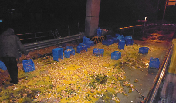 江苏百箱鸡蛋跌落高速路 路面上蛋液成河▏