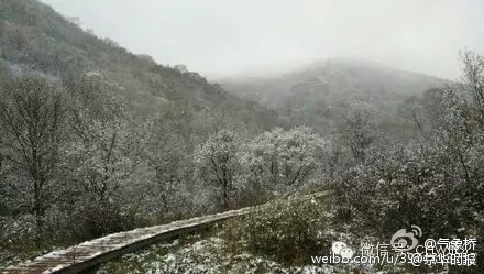 北京郊区飘雪 网友刷屏六月飞霜算个啥▏ 灵