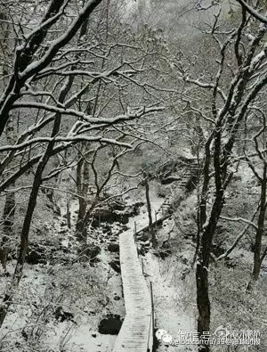 北京郊区飘雪 网友刷屏六月飞霜算个啥▏ 灵