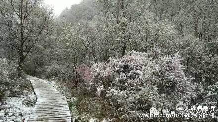 北京郊区飘雪 网友刷屏六月飞霜算个啥▏ 灵