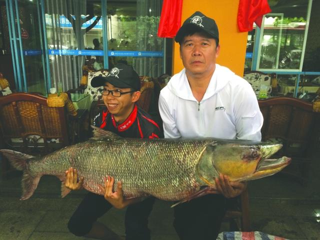 四川父子钓起98.4斤重鳡鱼 身长1.63米(图)▏ 鳡