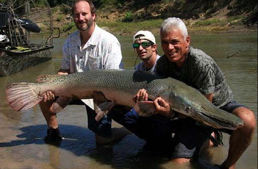 双头蛇打架厮咬真罕见 网友:原本或是颗双黄蛋
