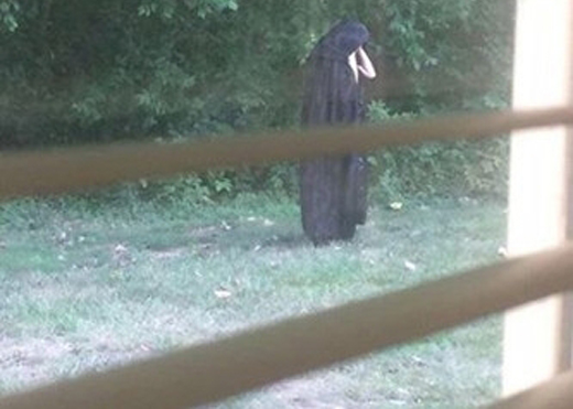 <em>住户拍到不明物体</em> 似 伏地魔 黑色斗篷从头包到