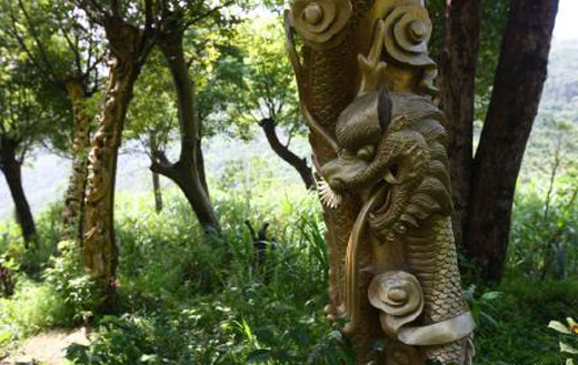 <em>宁波现活体树雕</em>被怒批 樟树剥树皮后刷金漆(多