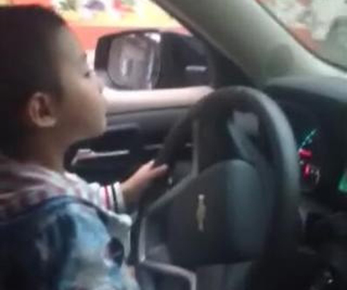 <em>男孩开车穿行闹市</em>表情淡定 熊爸爸 比熊孩子可