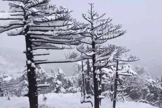  云南多地十月降雪  大理、香格里拉雪景醉人(组