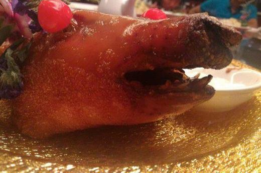  吃烤乳猪似老鼠 :看着鼻子上的毛孔 就难以下咽