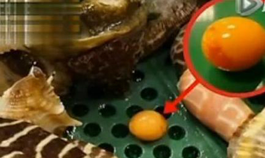  黄螺吐出龙珠 :外观圆润通体橙红 表面有纹路(图