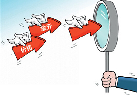 新《 中央定价目录 》公布 定价范围大减明年起
