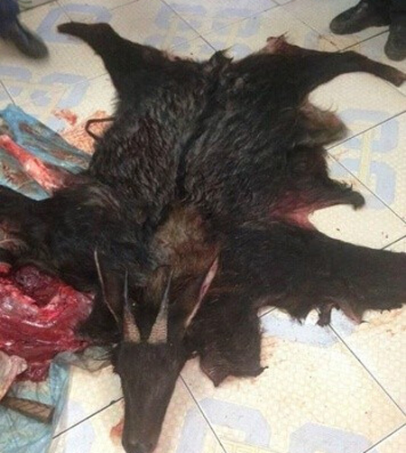  老人自称捕到神兽 拉到菜市场叫卖 现场分解40