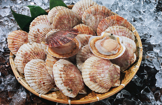  三亚餐厅天价扇贝 15元1个 工商局责令停业整顿