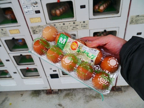 机 被捕 资料图 朝日新闻 生鸡蛋 修理费用 日本
