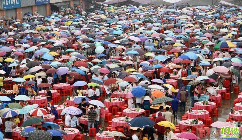 村主任 辞职为 儿 办婚宴  称官不当也要把婚礼搞