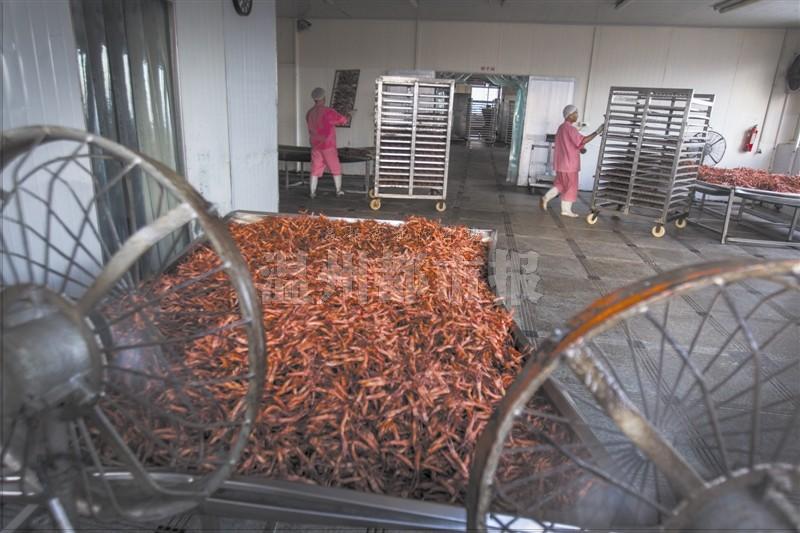 温州初旭食品老板失联 员工:近四月工资没发▏