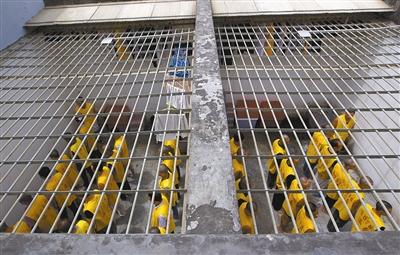 警察安排卖淫女进看守所与在押犯性交易(图)▏