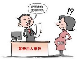  怀二胎被要求离职 (组图):霸王条款面前,产假陪