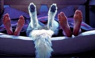  一女侍二夫引情杀 (组图)临时夫妻满足性生活争