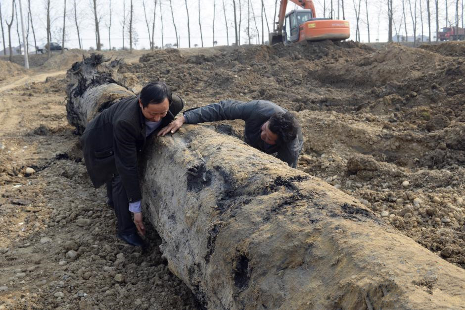 湖北一村民挖出大量乌木(图) 东方神木为啥值