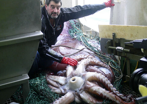  捕获27斤中华鲟 (组图)盘点世界奇特巨怪生物▏