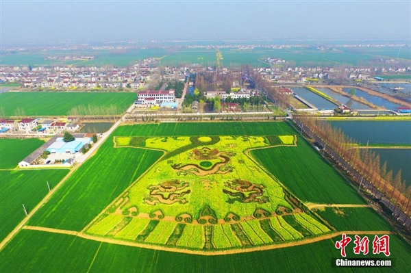 油菜地种出龙袍 中国最美十大油菜花景点排名