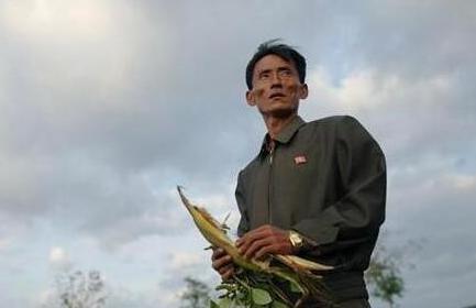  朝鲜粮食节省运动 (组图)我们可能要再次吃草根