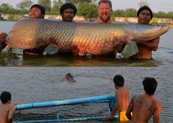  墨西哥钓上怪鱼  组图盘点被人类活捉的罕见大