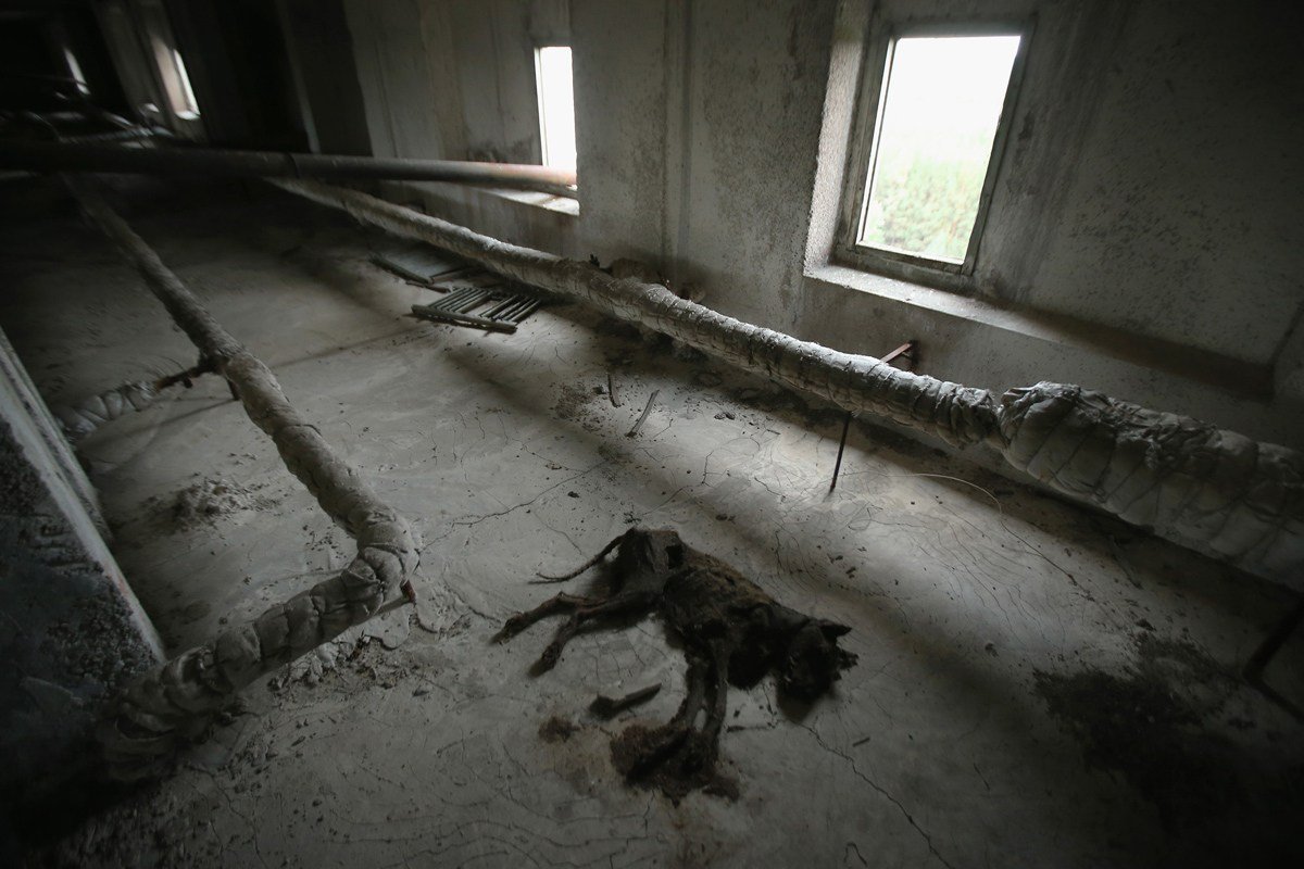 探访"鬼城"切尔诺贝利核电站废墟为何爆炸?